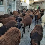 Anibals Boutique - Serra Da Estrela *
