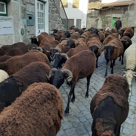 Anibals Boutique - Serra Da Estrela *