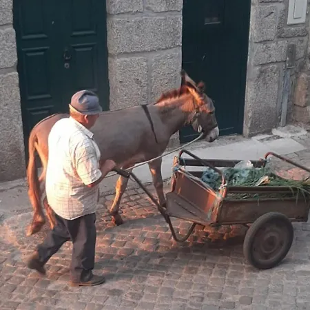 Anibals Boutique - Serra Da Estrela *