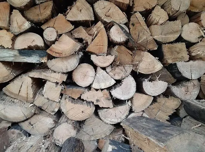 Anibals Boutique - Serra Da Estrela Lejlighed