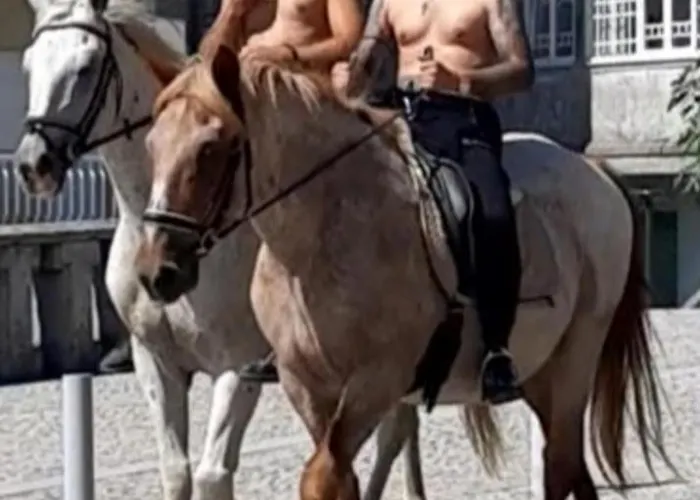 Lejlighed Anibals Boutique - Serra Da Estrela Gouveia (Guarda)