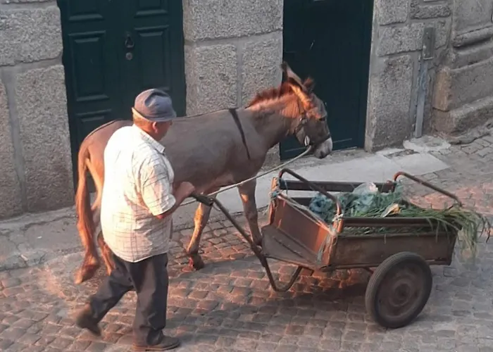 Anibals Boutique - Serra Da Estrela *