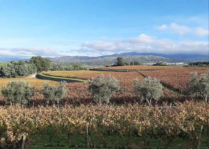 Lejlighed Anibals Boutique - Serra Da Estrela Gouveia (Guarda)