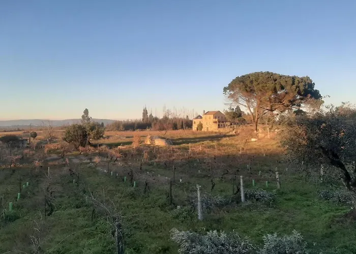 Anibals Boutique - Serra Da Estrela Gouveia (Guarda)